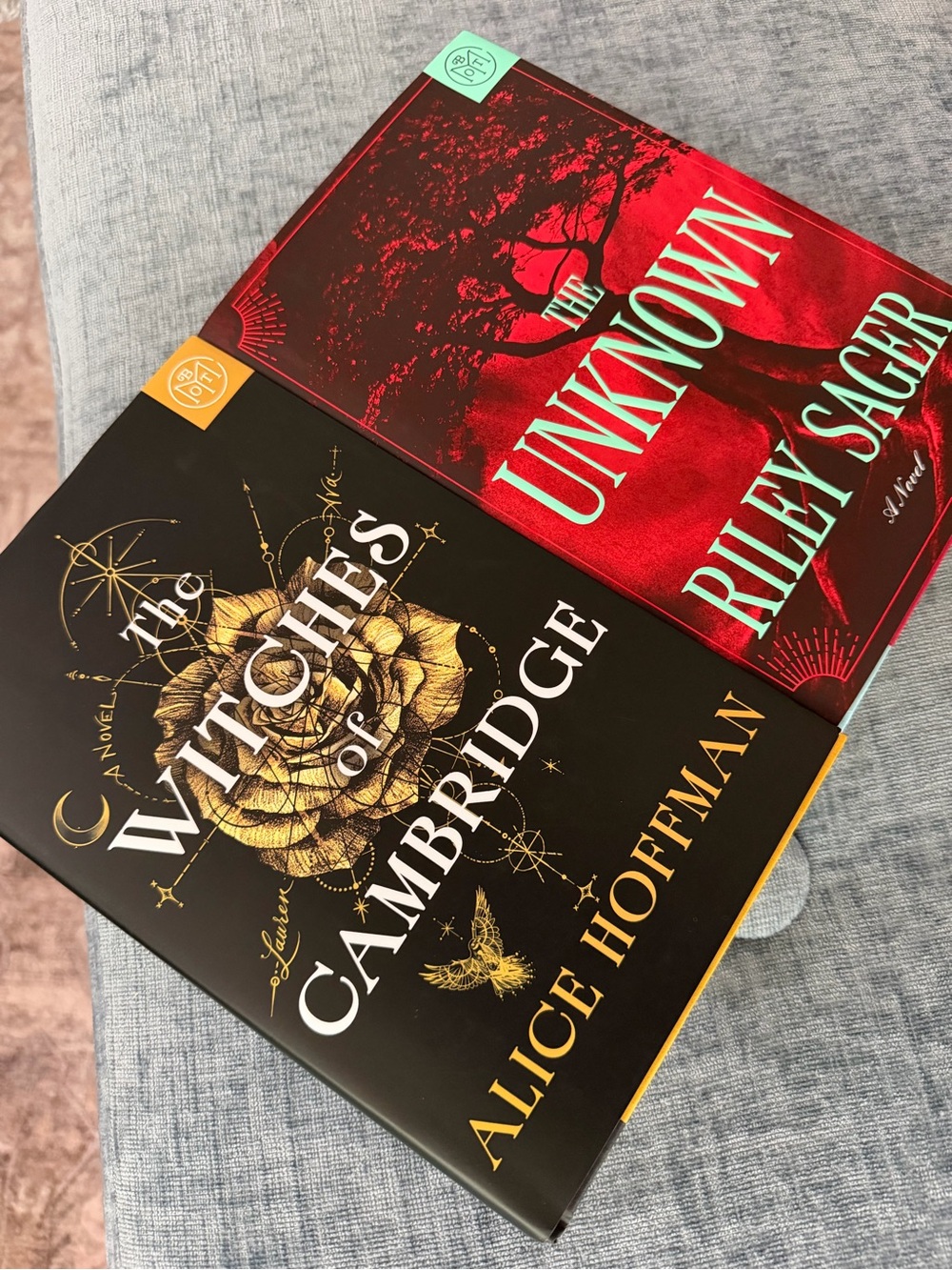 Riley Sager The Unknown + Alice Hoffman Witches of Cambridge BOTM Book Bundle